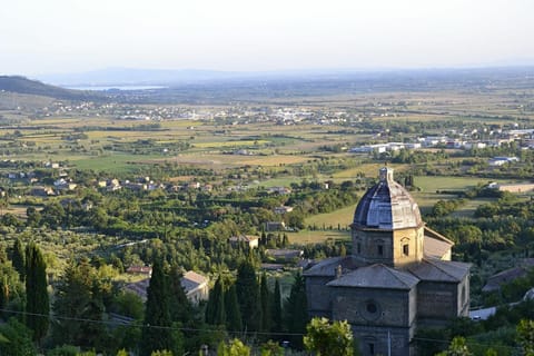 Panoramic view