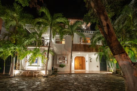 The house by night