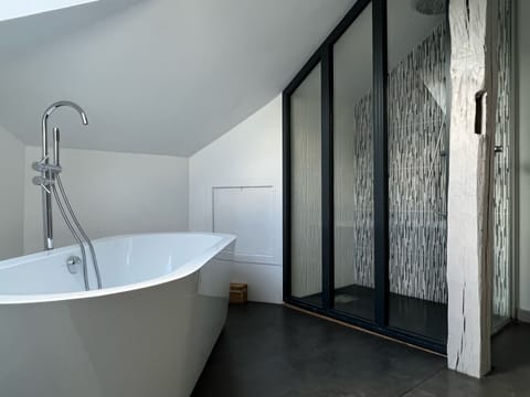 Deluxe Apartment | Bathroom | Shower, hydromassage showerhead, free toiletries, hair dryer