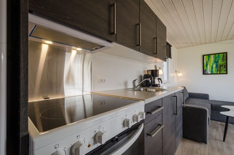 Luxury Cabin, Private Bathroom (Funkis) | Private kitchen | Fridge, microwave