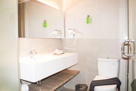 Shower, free toiletries, slippers, bidet