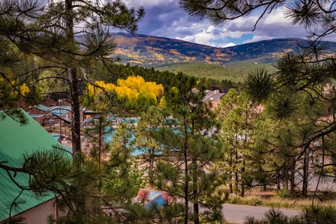 Captivating view from A3 Lifts Condo looking out over the Rockies!