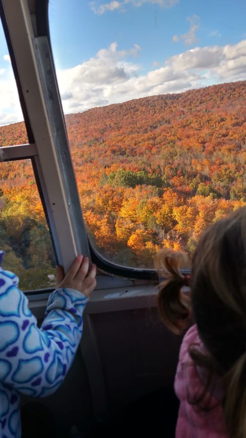 Amazing fall colors mid September to mid October