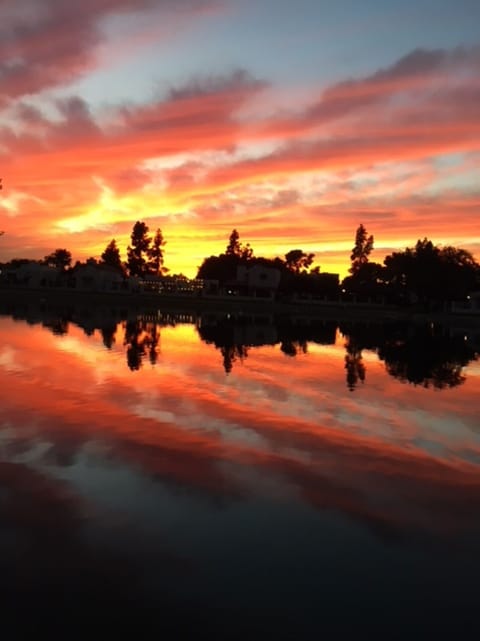 ABSOLUTELY AMAZING SUNSETS