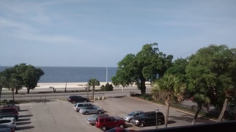This is the view you will see from the 2 bedrooms, living room and dining room.