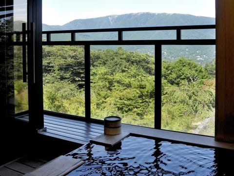 Separate tub and shower, deep soaking tub, free toiletries, hair dryer