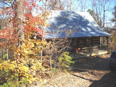 Front of the Cabin in the fall