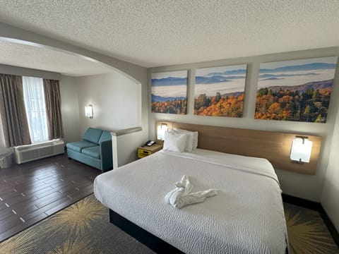 Standard Room, 1 King Bed, Accessible | Desk, iron/ironing board, free cribs/infant beds, rollaway beds