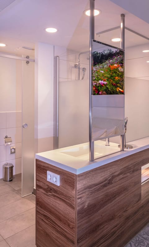 Shower, free toiletries, hair dryer, towels