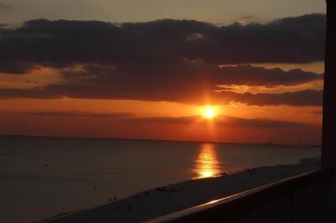 I just can't brag enough about the sunsets.