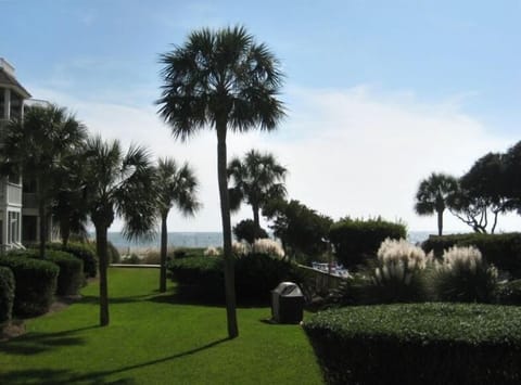 Welcome! The view from the Screened In Porch! The courtyard and the beach!
