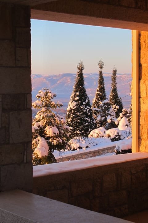 Gallery Suite, 1 King Bed with Sofa bed, Jetted Tub, Lake View (55 m²) | Balcony view