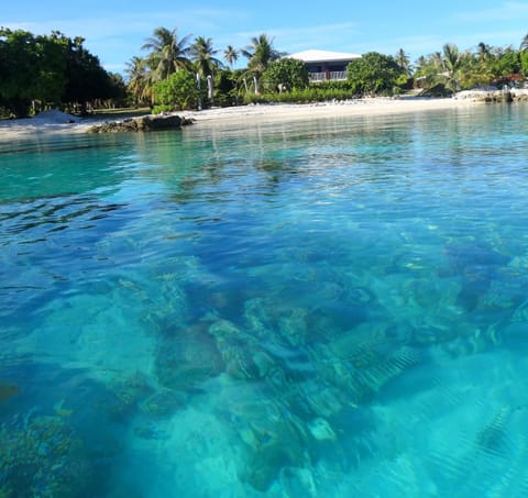 Private beach, sun loungers, kayaking