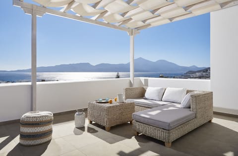 Superior Suite | View from room
