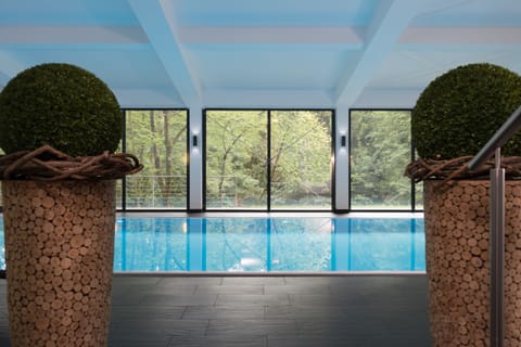 Indoor pool, sun loungers