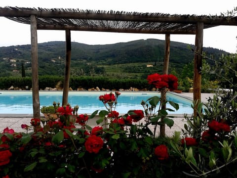 Outdoor pool, open 7:00 AM to 8:00 PM, pool umbrellas, sun loungers