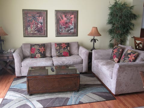 Living Room with designer's furnatures