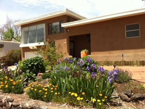 Front of house in Spring