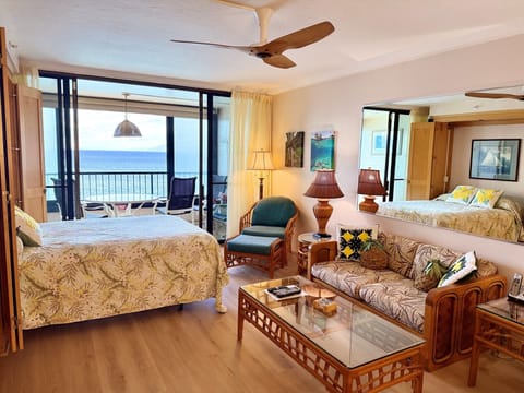 Living & Bedroom Area