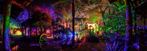 The wash at night. A guest/ electrician said “it is a lighting master class.” 
