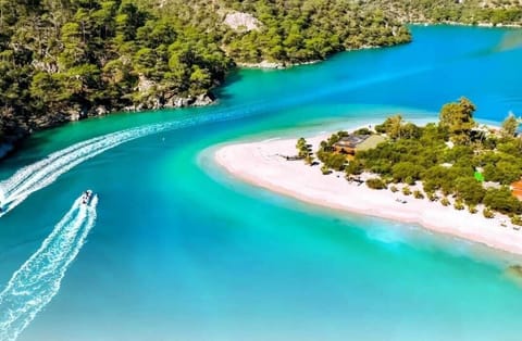 Beach nearby, free beach cabanas, beach shuttle, sun loungers