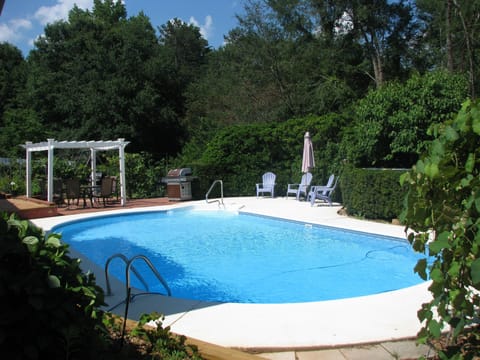 Pool and the backyard