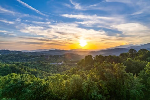 Just a Vista