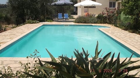 Superb family sized pool with roman steps