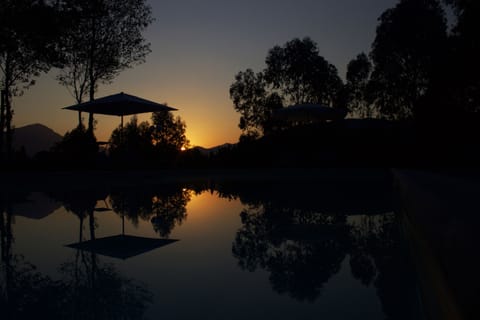 Seasonal outdoor pool, open 10:00 AM to 6:00 PM, pool umbrellas