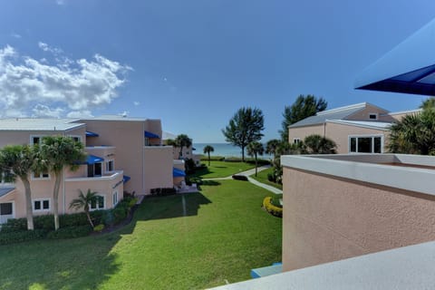 Patio View