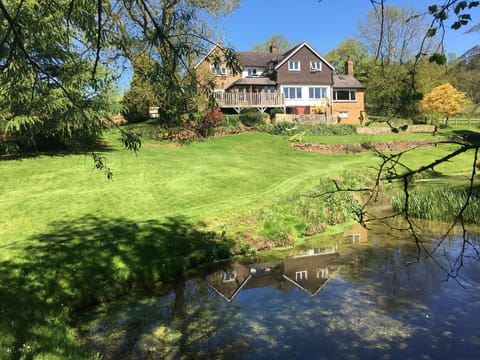 Garden and pool with South-facing side of house.