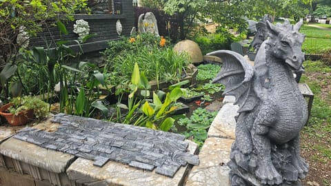 Fish Pond with over 100 gold fish! Bullfrog too!  