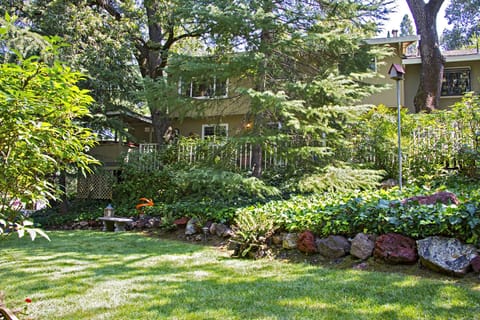 Lawn & back of house