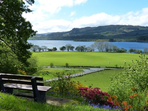 Bench over-looking Loch Awe on the hill close to Barn