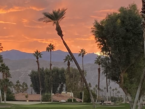 Patio view
