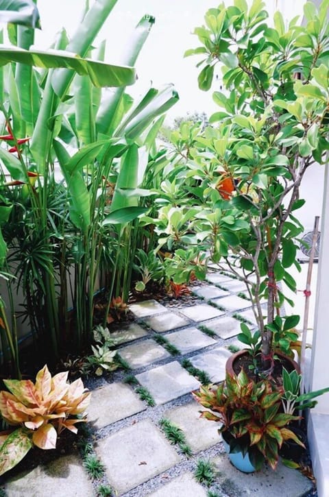 Superior Room | Lanai