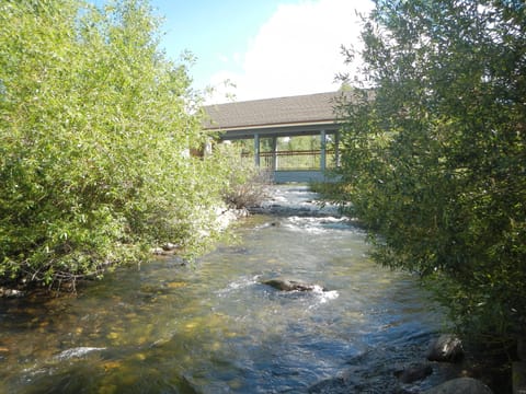 Walk across the bridge to Main Street Breck or music at the Riverwalk Center.