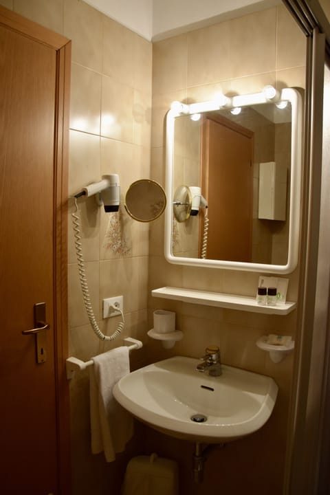 Single Room, Mountain View | Bathroom | Shower, free toiletries, hair dryer, bidet