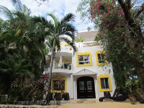 Casa Palmas 