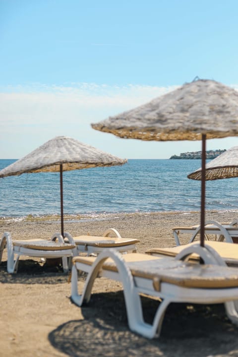 Private beach, free beach shuttle, free beach cabanas, sun loungers