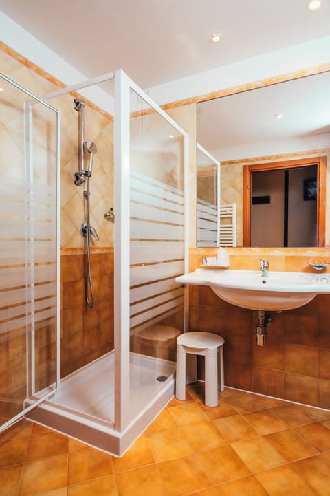 Hair dryer, bidet, towels