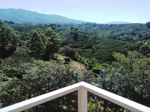 Deluxe Apartment, 2 Bedrooms | Terrace/patio