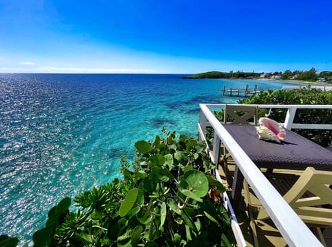 Totally stunning vista from the peninsula. You can see the ocean all around!