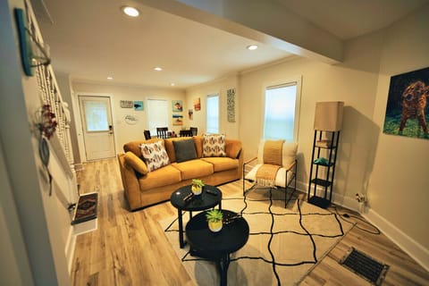 Living area- brand new sleeper couch