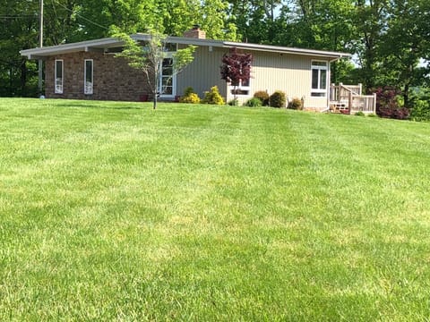 large yard
