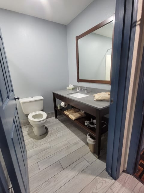 Combined shower/tub, free toiletries, hair dryer, towels