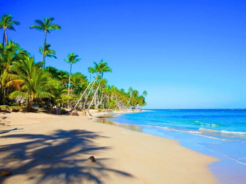 Beach nearby, white sand, 14 beach bars