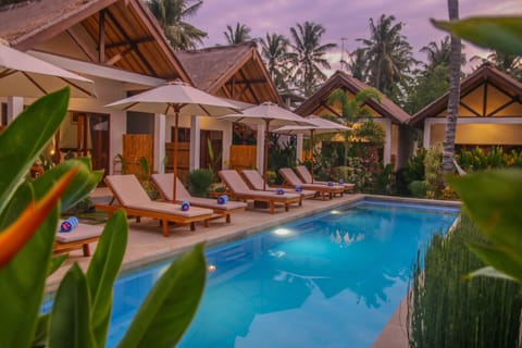 Outdoor pool, sun loungers