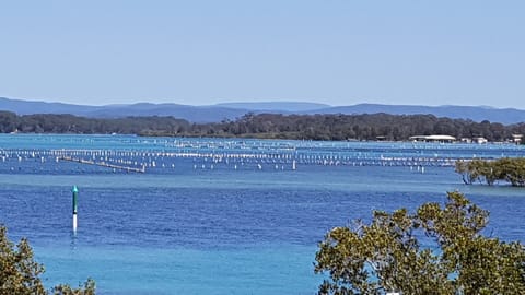 Actual view