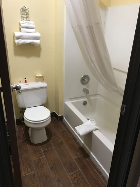 Deluxe Suite | Bathroom | Hair dryer, towels